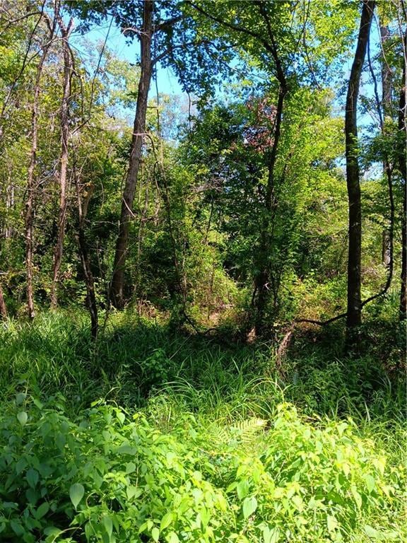 TBD Louise St, Port Vincent, LA 70726