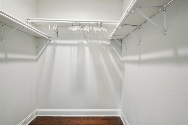 walk in closet featuring hardwood / wood-style flooring