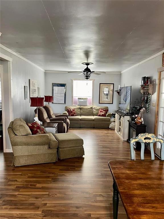 living room featuring ornamental molding, ceiling fan, and dark wood-type flooring