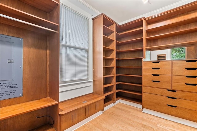 walk in closet featuring light hardwood / wood-style flooring and electric panel