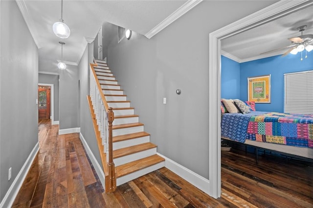 stairs featuring hardwood / wood-style floors, ceiling fan, and crown molding