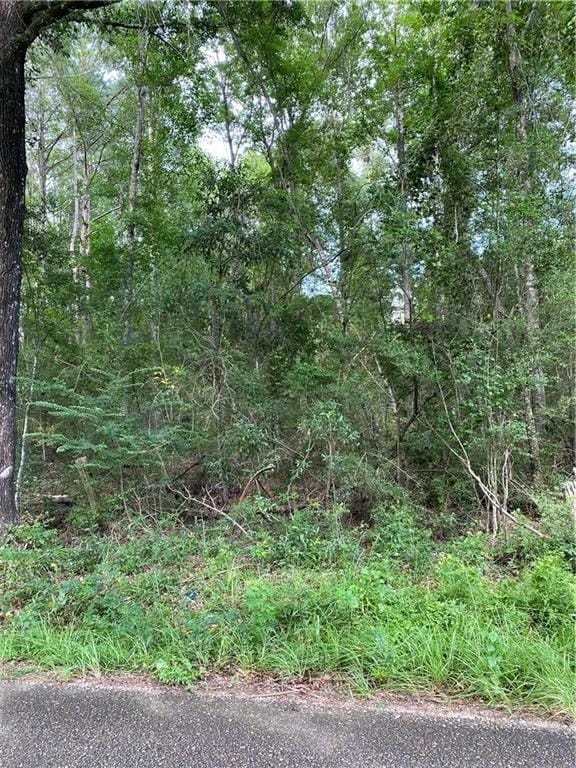 Sie Jenkins Rd, Bogalusa LA, 70427 land for sale