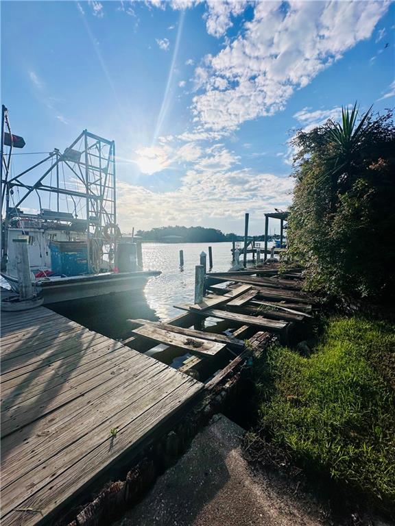 dock area with a water view