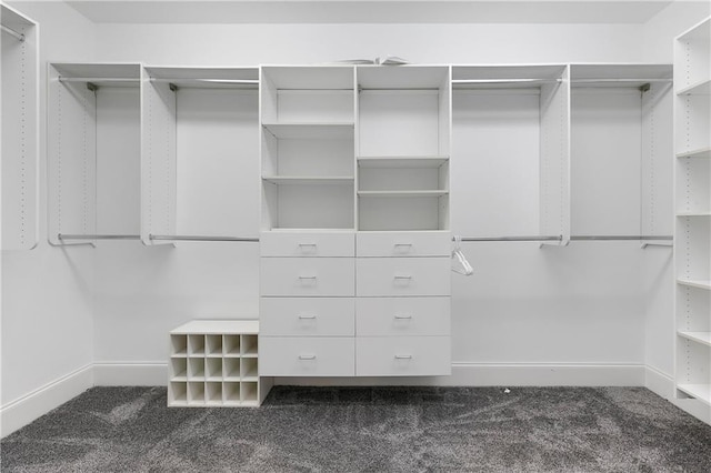 spacious closet featuring dark colored carpet