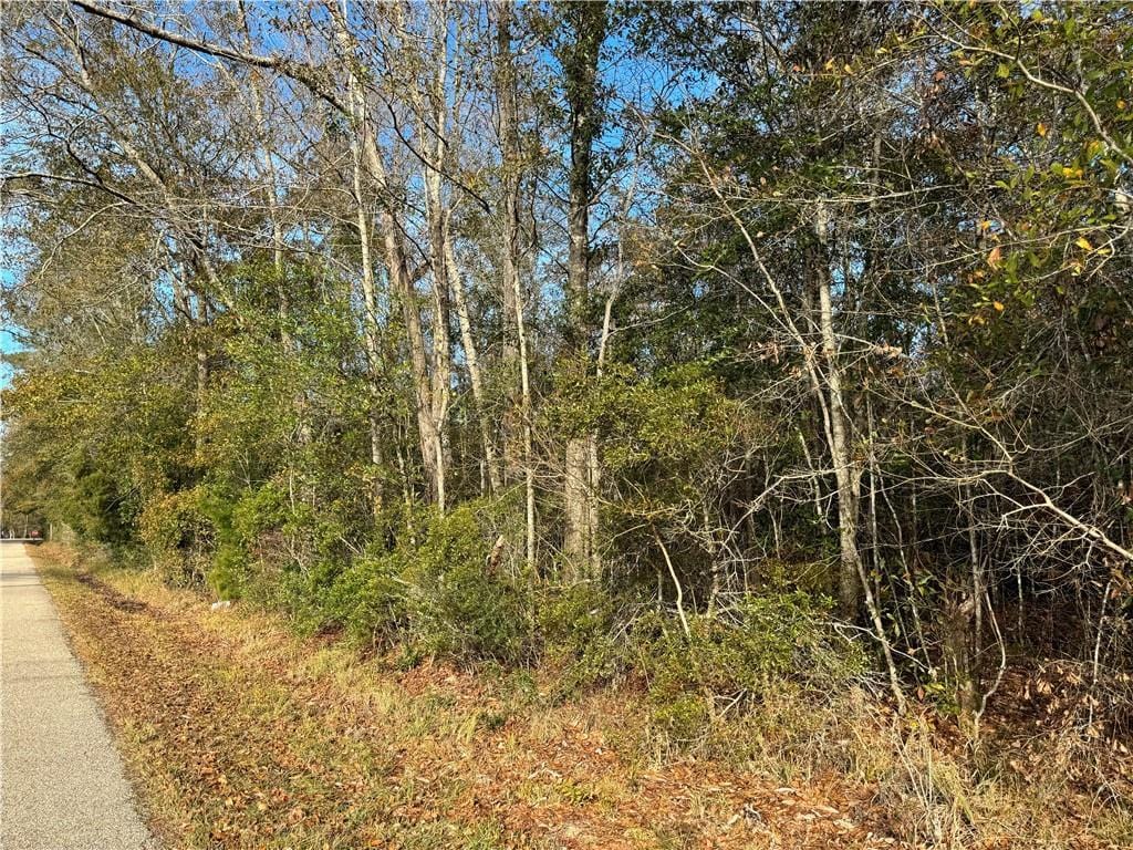 Crawford Rd, Pearl River, LA 70452 - photo 1