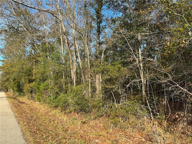 Crawford Rd, Pearl River, LA 70452 - photo 1