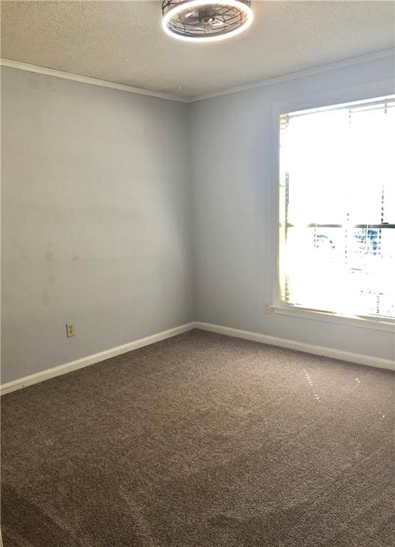 empty room featuring carpet floors, crown molding, and a textured ceiling