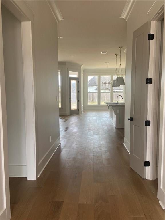 corridor with sink, a chandelier, and dark hardwood / wood-style flooring