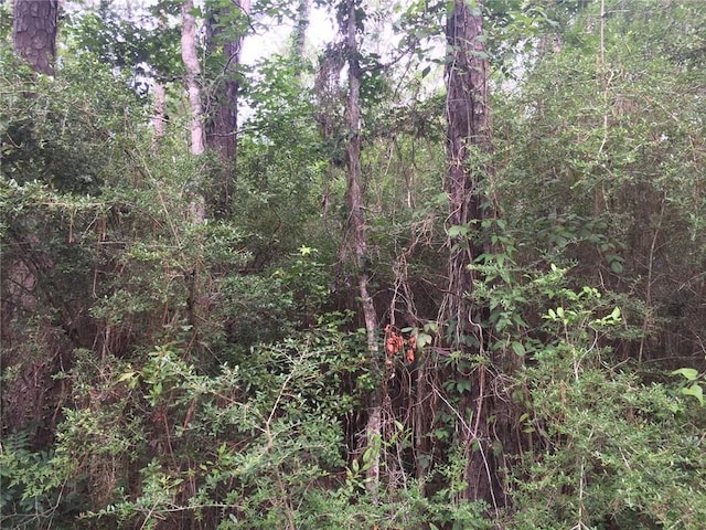 29322 Paquet Rd, Lacombe, LA 70445 - photo 4
