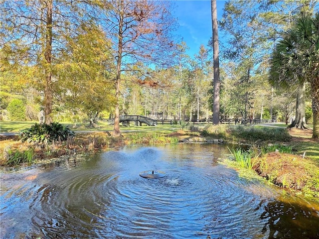 property view of water