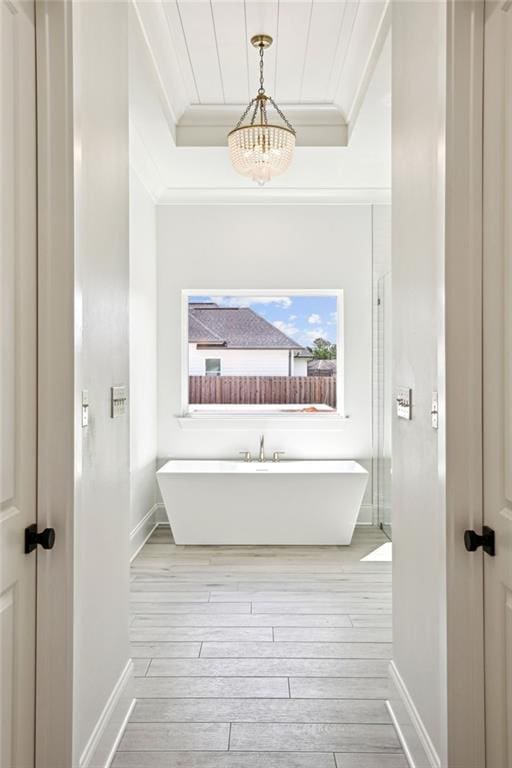 bathroom featuring wood-type flooring, a raised ceiling, and crown molding