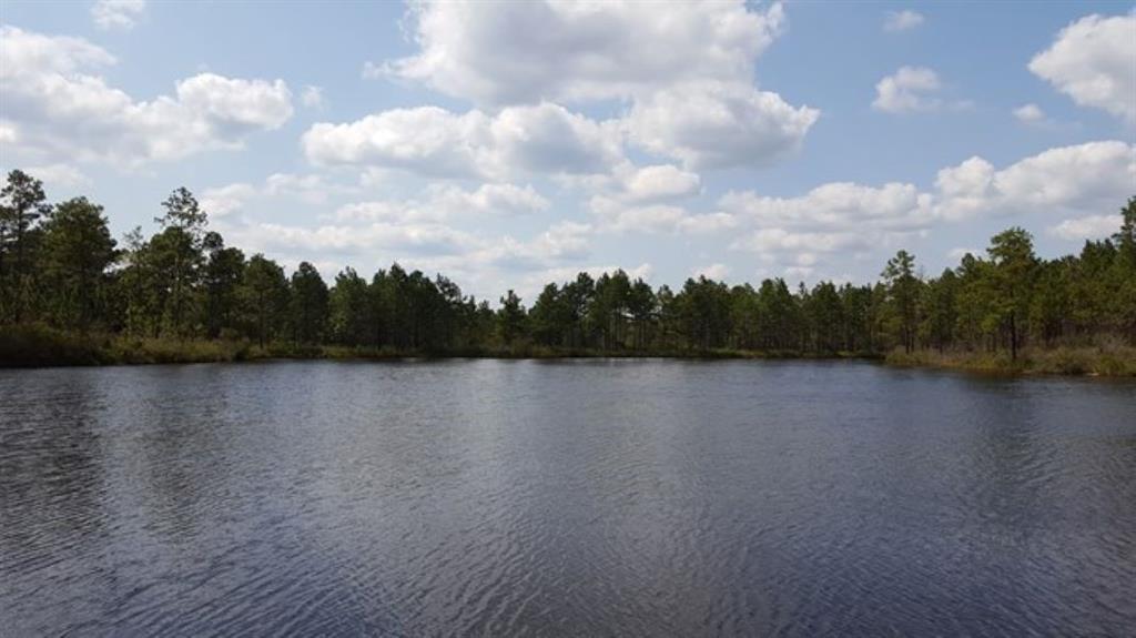 0 Bob Simpson Rd, Poplarville, MS 39470