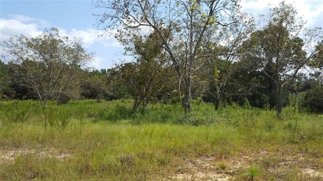 Listing photo 2 for 0 Bob Simpson Rd, Poplarville MS 39470