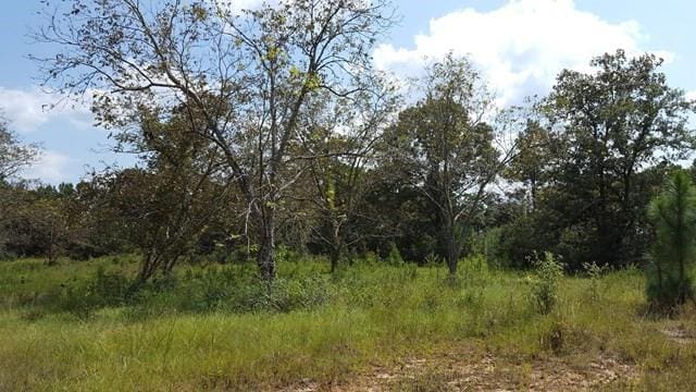 Listing photo 3 for 0 Bob Simpson Rd, Poplarville MS 39470