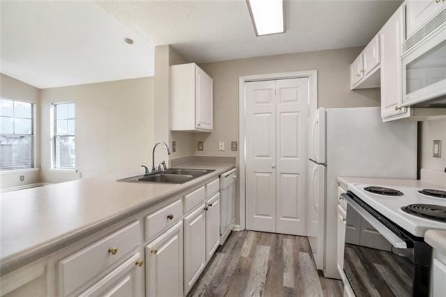 kitchen with sink, light hardwood / wood-style flooring, white cabinets, and white appliances