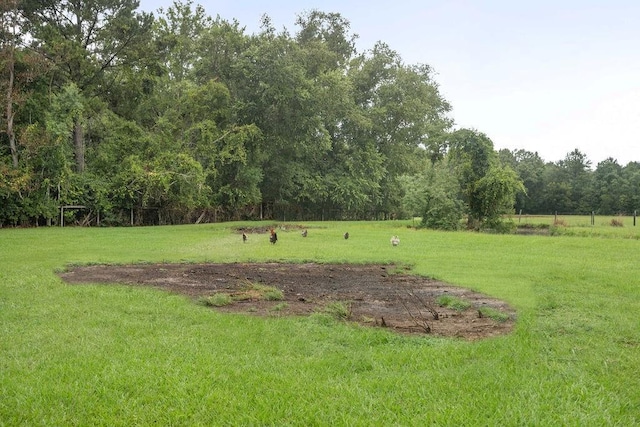 view of yard with a rural view