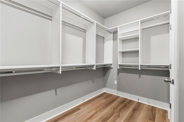 empty room featuring light hardwood / wood-style flooring and ceiling fan