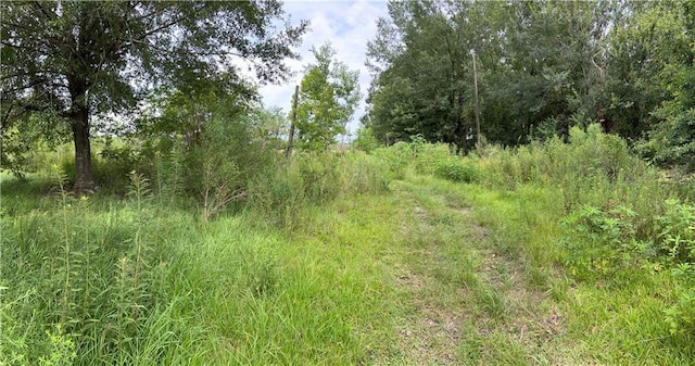 6905 Johnston St, Lafayette, LA 70503 - photo 10