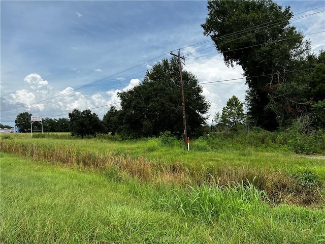 6905 Johnston St, Lafayette, LA 70503 - photo 13