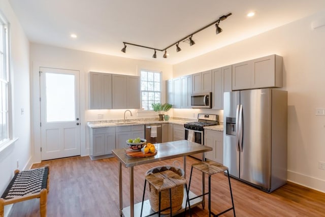 kitchen featuring gray cabinetry, sink, light hardwood / wood-style floors, and appliances with stainless steel finishes