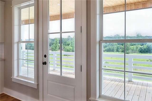 entryway featuring hardwood / wood-style flooring and plenty of natural light