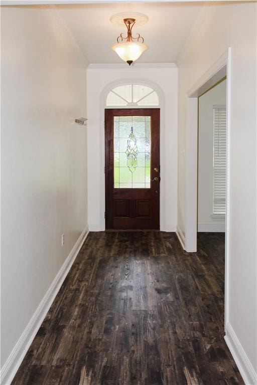 foyer entrance featuring ornamental molding and dark hardwood / wood-style flooring