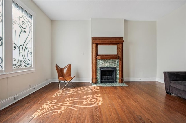 living area with a fireplace and wood-type flooring