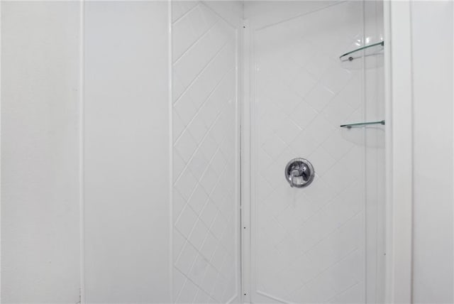 room details with tiled shower