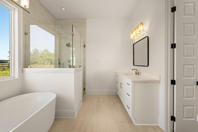 bathroom featuring vanity, separate shower and tub, and a healthy amount of sunlight