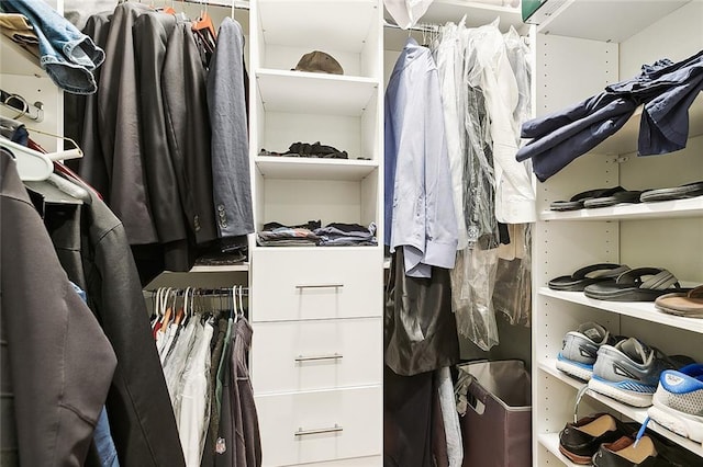 view of spacious closet