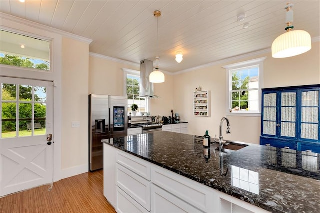 kitchen featuring light wood-type flooring, appliances with stainless steel finishes, crown molding, and a healthy amount of sunlight