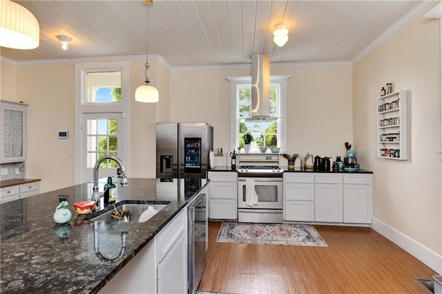 kitchen with light wood finished floors, stainless steel appliances, a sink, extractor fan, and crown molding