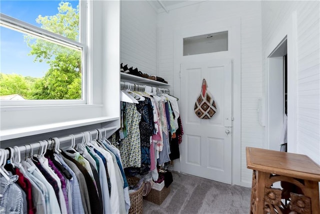 spacious closet featuring carpet