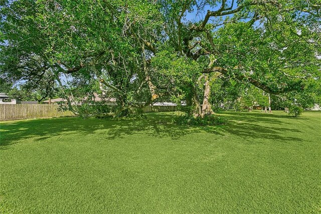 116 Villary St, Belle Chasse, LA 70037 - view of yard