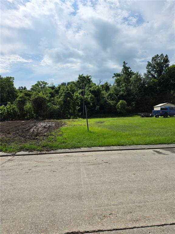 176 Boutte Estates Dr, Boutte, LA 70039 - photo 1
