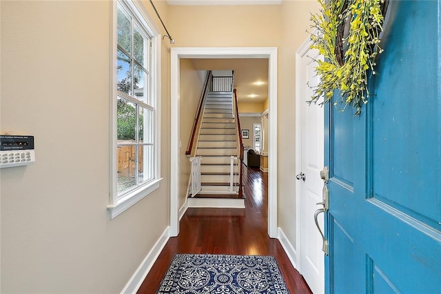 entryway featuring dark hardwood / wood-style floors and plenty of natural light