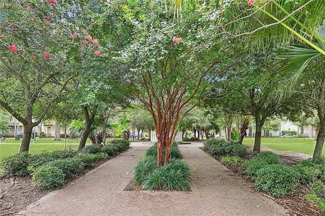 view of property's community with a yard