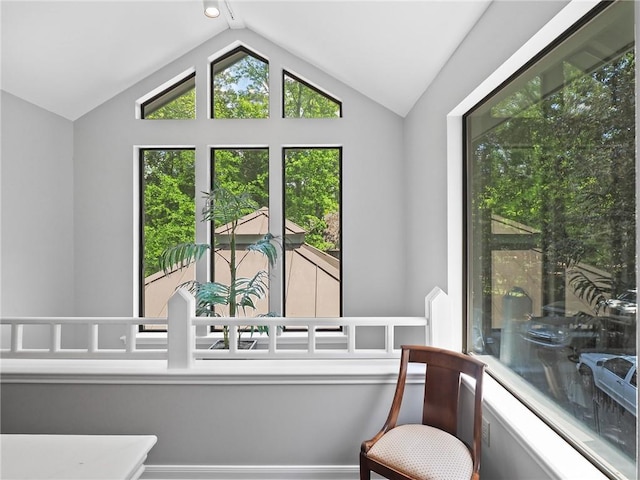 interior space with lofted ceiling