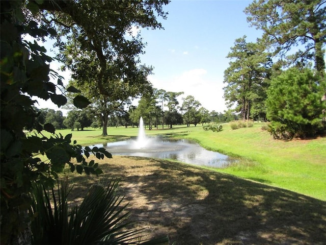 view of home's community with a water view and a yard