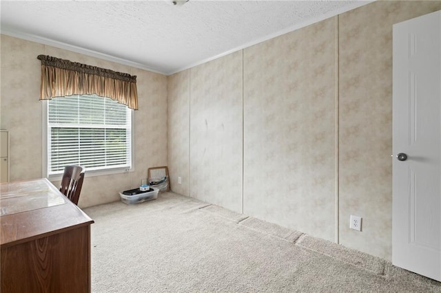 unfurnished office with ornamental molding, carpet floors, and a textured ceiling