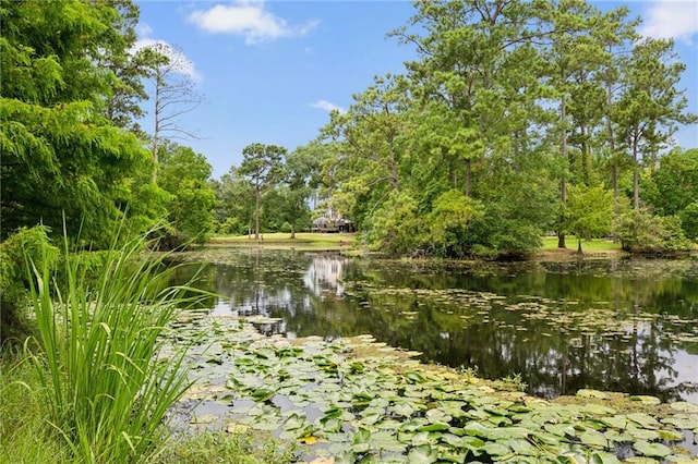 view of water feature