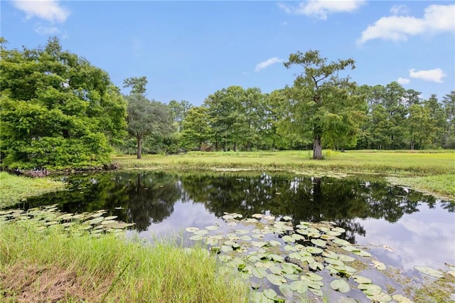 water view