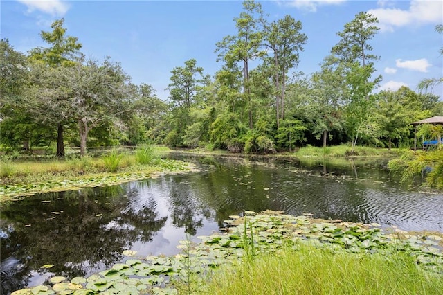 water view