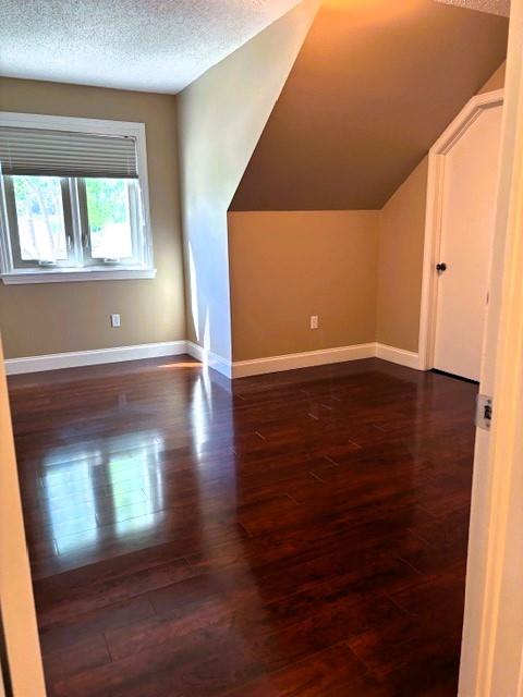 bonus room featuring lofted ceiling, a textured ceiling, and dark wood-type flooring