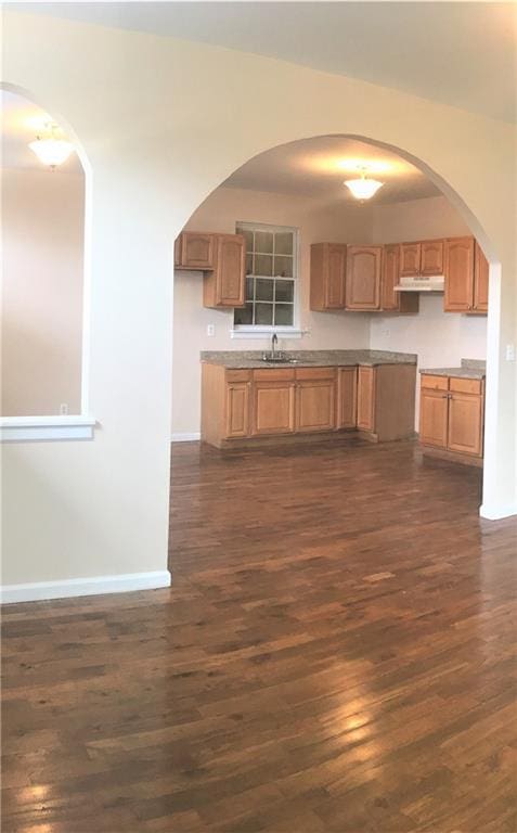 kitchen featuring dark hardwood / wood-style flooring and sink