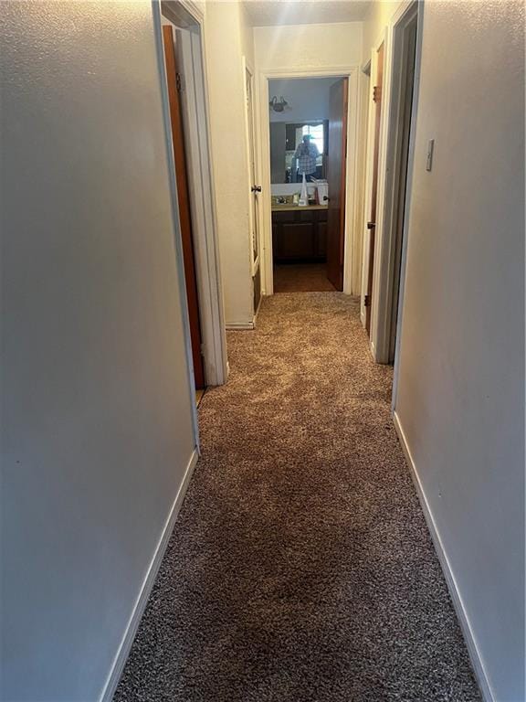 hallway with carpet flooring