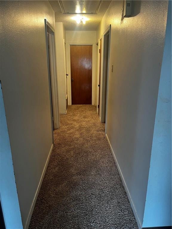 hall featuring carpet floors