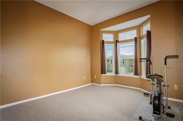 workout area featuring carpet flooring