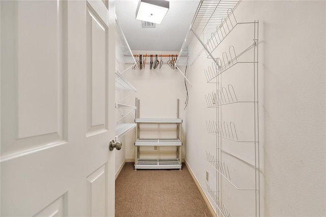 spacious closet with carpet