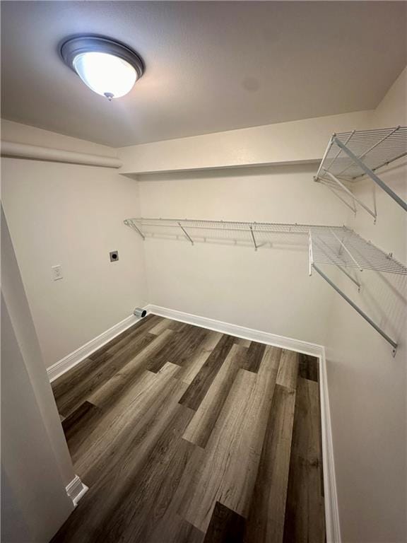 walk in closet with hardwood / wood-style floors